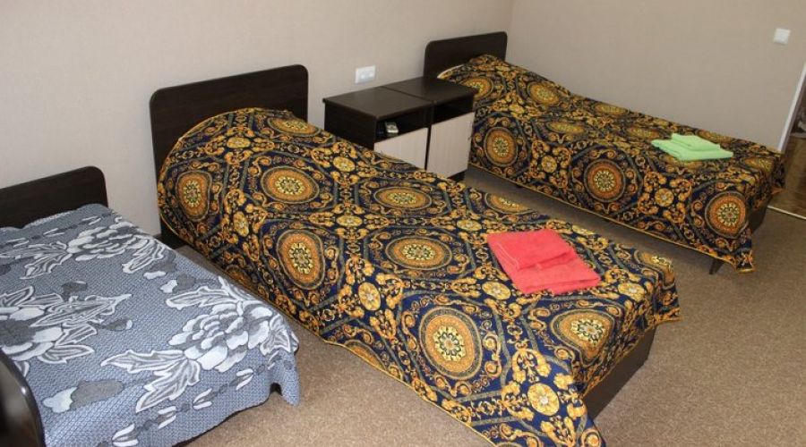 Большой Солнечный 2-местный (2 раздельные кровати)