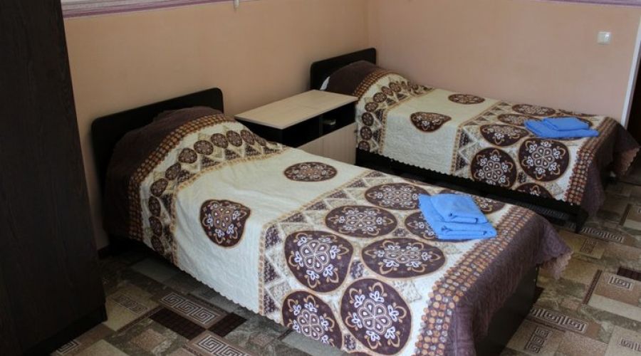 Стандартный 2-местный 1-комнатный TWIN