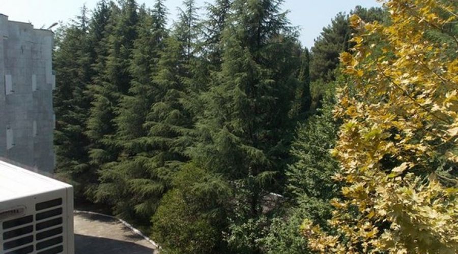 Стандартный плюс DBL 2-местный 1-комнатный